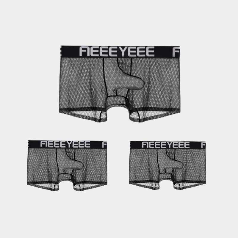 3-Pack Men's Ice Silk Trunks with Elephant Trunk Pouch - AFL 2003PJ
