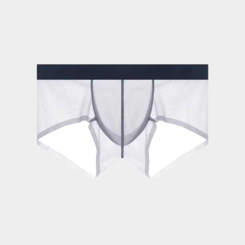 Men's Sheer Ice Silk Short Trunks - AFL 826