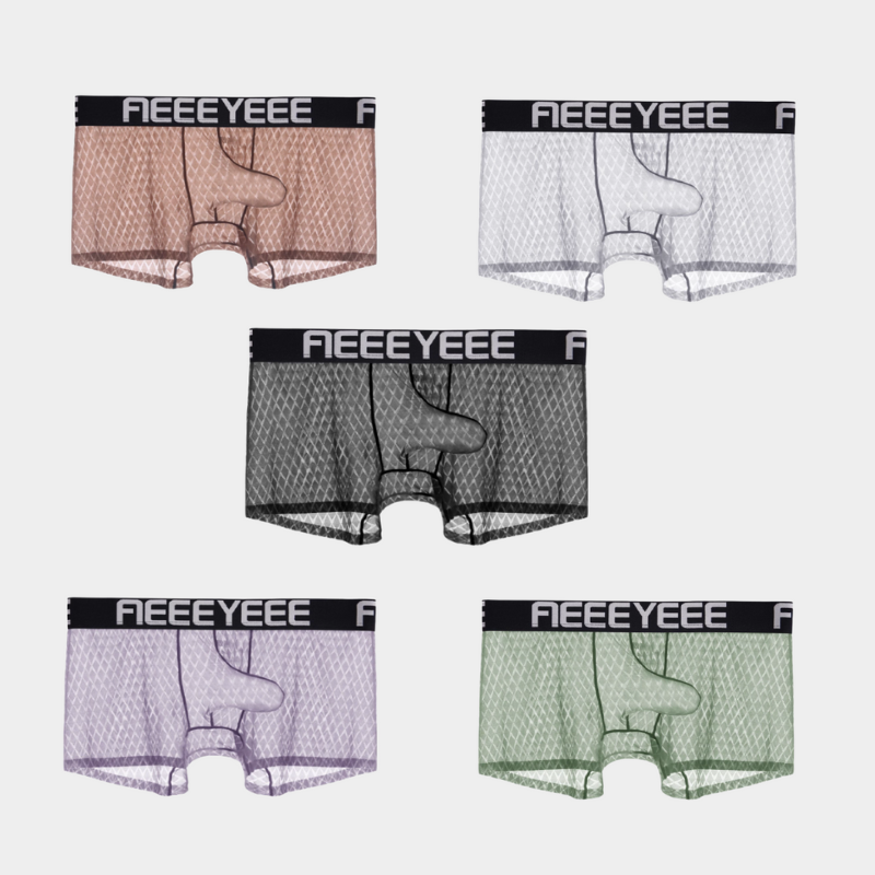 3-Pack Men's Ice Silk Trunks with Elephant Trunk Pouch - AFL 2003PJ