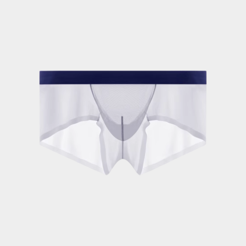 4-Pack Men's Sheer Power Mesh & Ice Silk Short Trunks - AFL 1977