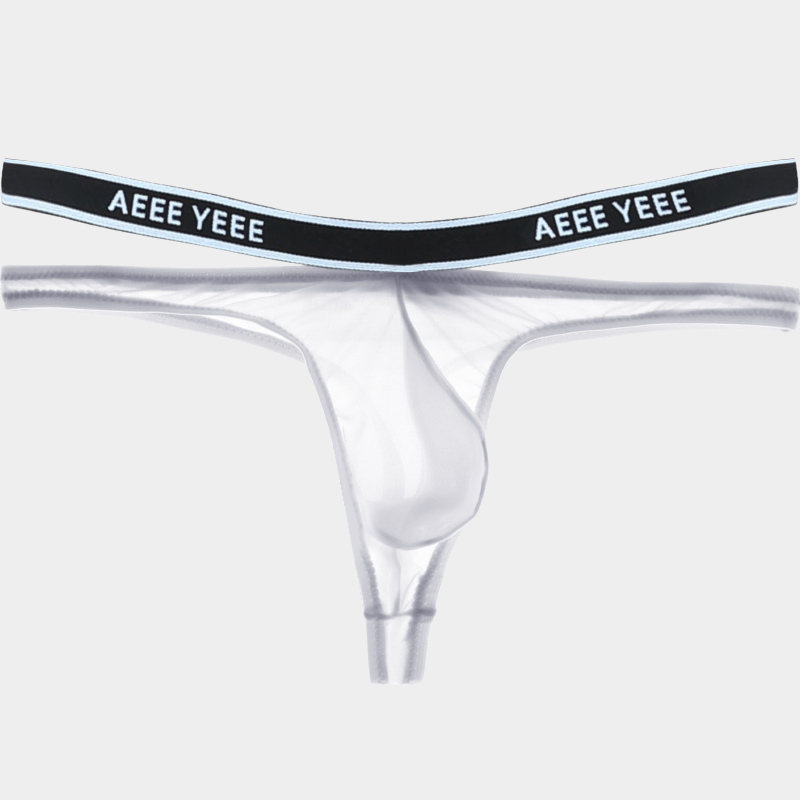 Men's Sheer Ice Silk Thongs - AFL 840