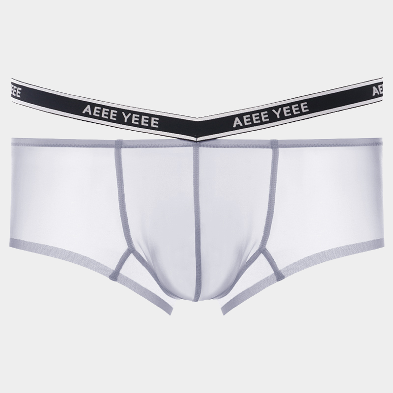 Men's Sheer Ice Silk Short Trunks - AFL 841