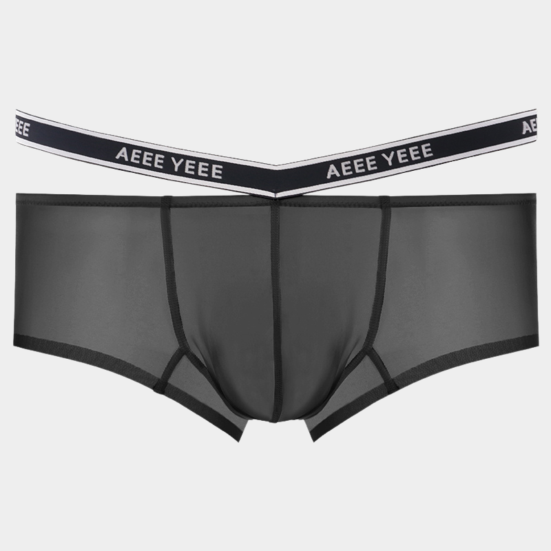 Men's Sheer Ice Silk Short Trunks - AFL 841
