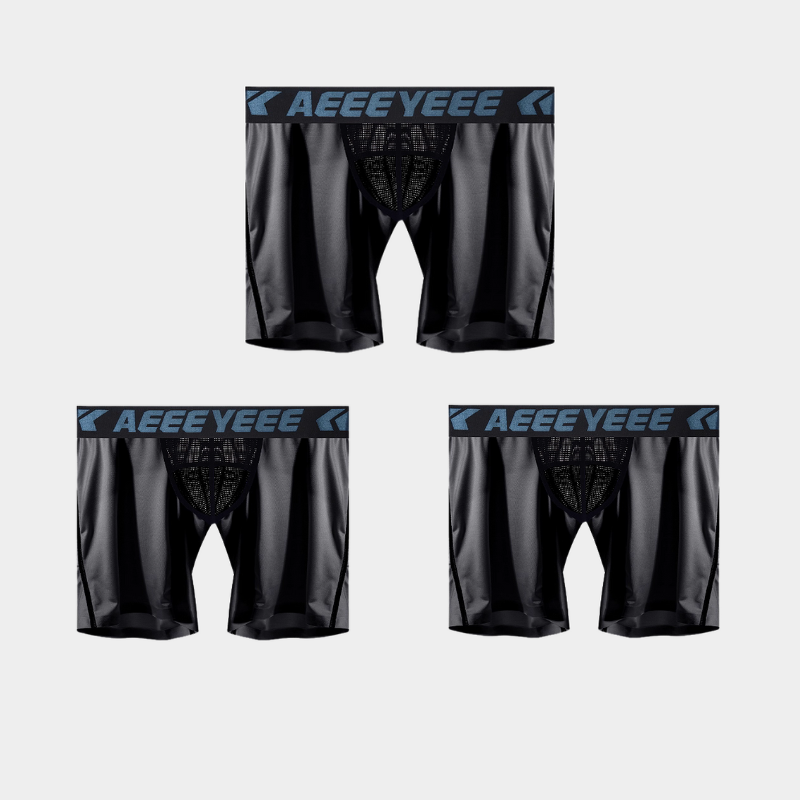 3-Pack Men's Ice Silk Boxer Briefs with Mesh Back & Pouch - AFL 704