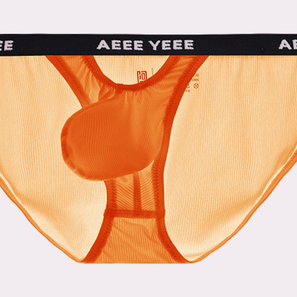 AFL 866 - Men's Ice Silk Briefs