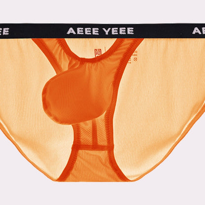 AFL 866 - Men's Ice Silk Briefs