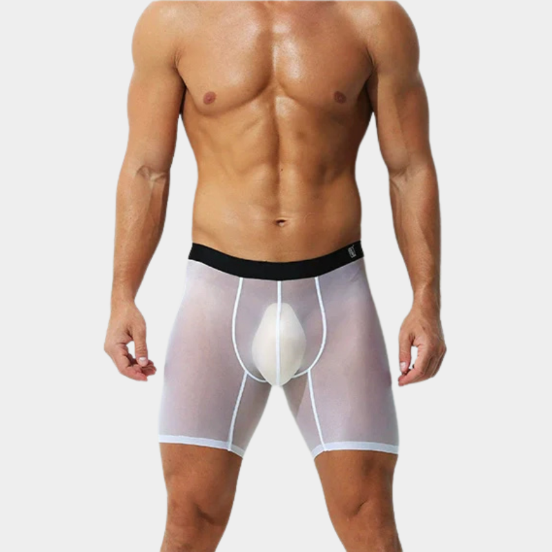 Men's Sheer Ice Silk Boxer Briefs - AFL 829