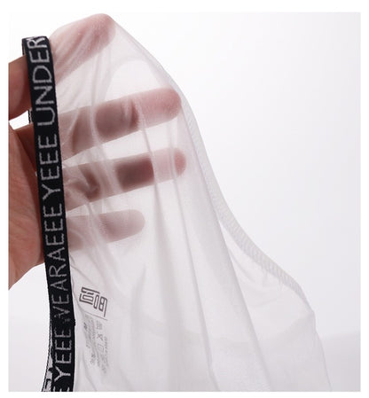 4-Pack Men's Sheer Ice Silk Full-Back Briefs - AFL 722