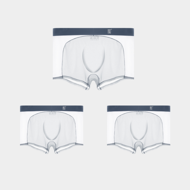 3-Pack Men's Sheer Power Mesh & Ice Silk Trunks - AFL 1979