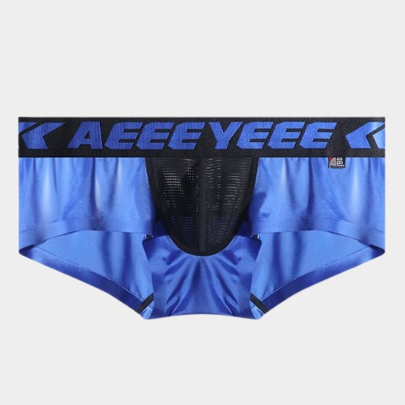 4-Pack Men’s Mesh-Panel Satin Ice Silk Short Trunks - AFL 743