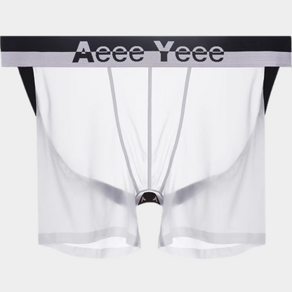 Men’s Ultra-Thin Ice Silk Open-Back Boxer Briefs - AFL 851