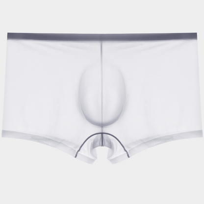 Men's Sheer Ice Silk Trunks with No-Chafe Pouch - AFL 832