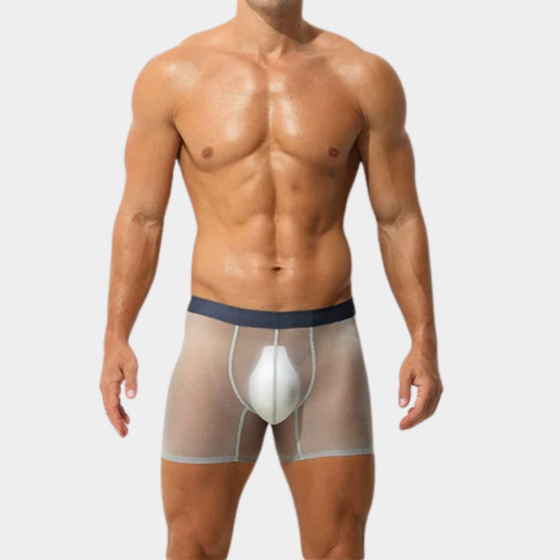 Men's Sheer Ice Silk Boxer Briefs - AFL 829