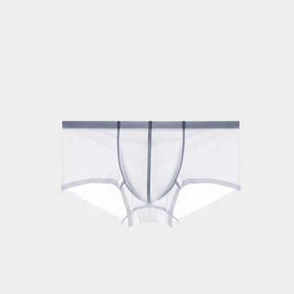 Men's Sheer Ice Silk Short Trunks - AFL 831