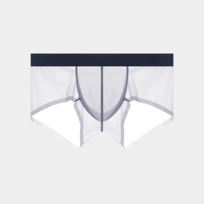 Men's Sheer Ice Silk Short Trunks - AFL 826