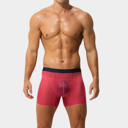 Men's Sheer Ice Silk Boxer Briefs - AFL 829