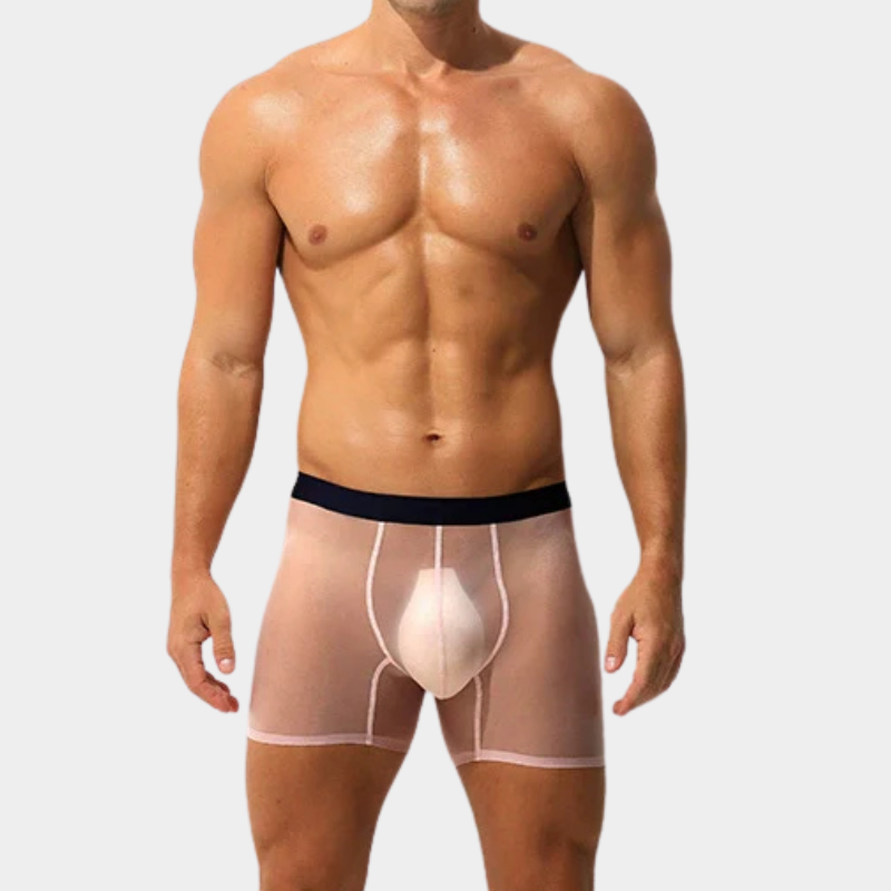 Men's Sheer Ice Silk Boxer Briefs - AFL 829