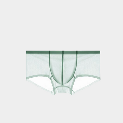 Men's Sheer Ice Silk Short Trunks - AFL 831