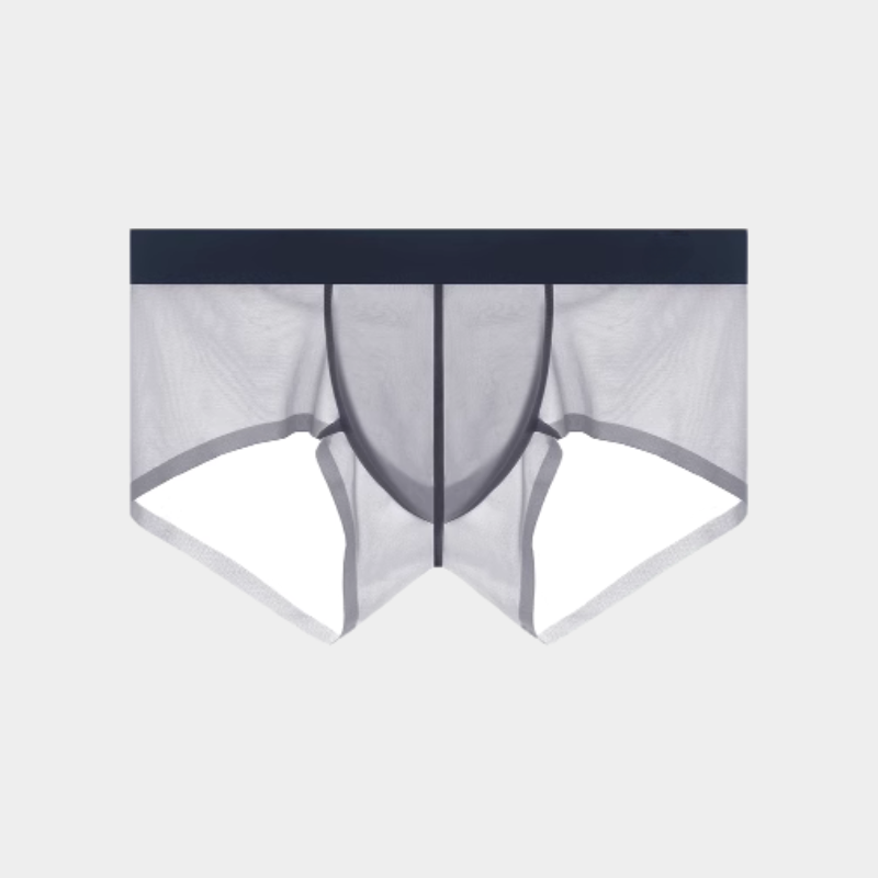 Men's Sheer Ice Silk Short Trunks - AFL 826