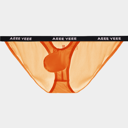 AFL 866 - Men's Ice Silk Briefs