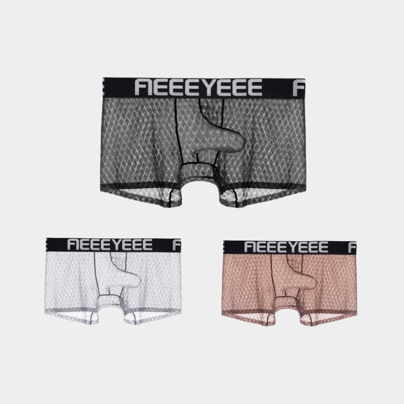 3-Pack Men's Ice Silk Trunks with Elephant Trunk Pouch - AFL 2003PJ