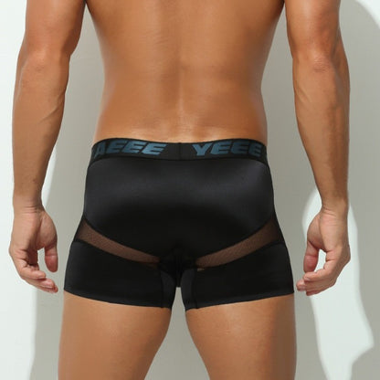 4-Pack Men's Satin Ice Silk & Sheer Mesh Trunks - AFL 706