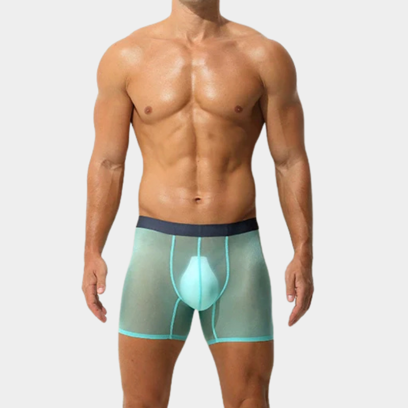 Men's Sheer Ice Silk Boxer Briefs - AFL 829
