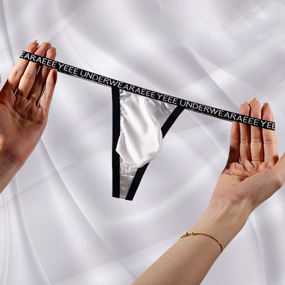 4-Pack Men's Ultra-Thin Ice Silk Glossy Thongs - AFL 719