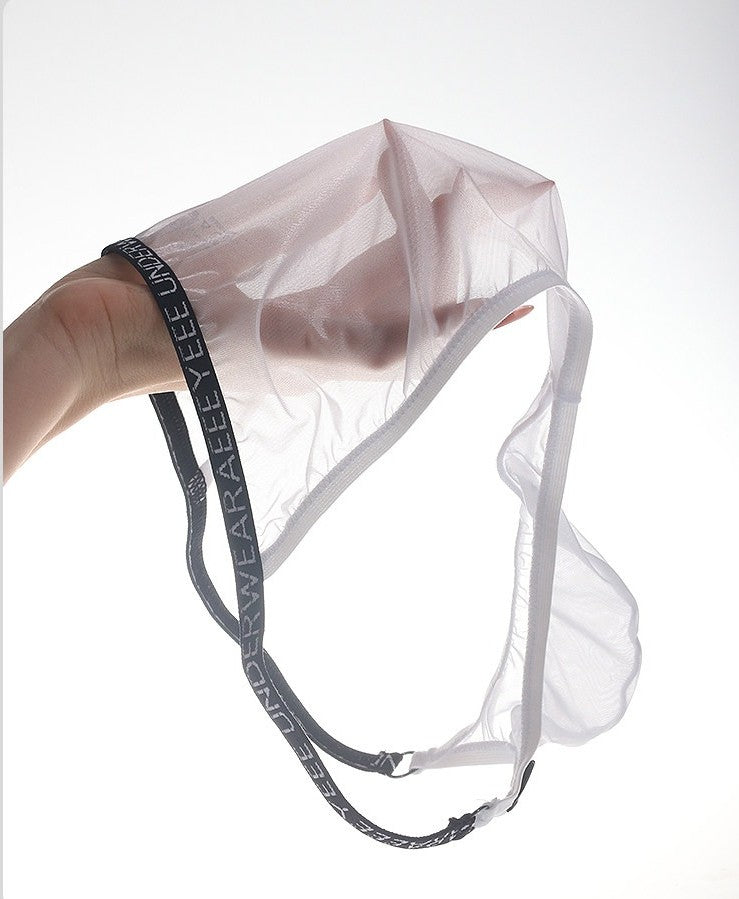 4-Pack Men's Sheer Ice Silk Low-Rise Bikini Briefs - AFL 733