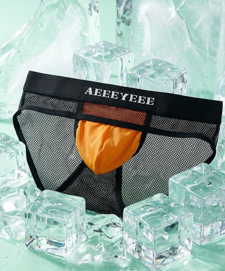 4-Pack Men's Mesh Briefs with Ice Silk Pouch - AFL 769