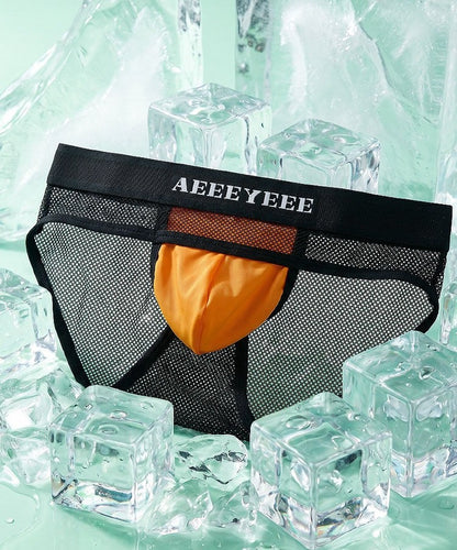 4-Pack Men's Mesh Briefs with Ice Silk Pouch - AFL 769