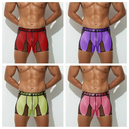 4-Pack Men's Satin Ice Silk & Sheer Mesh Trunks - AFL 706