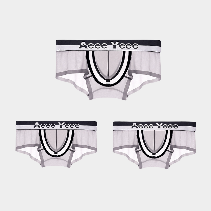 3-Pack Men's Ice Silk Trunks with Snap-Open Pouch - AFL 847