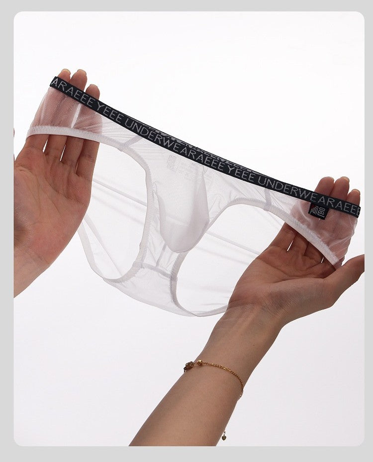 4-Pack Men's Sheer Ice Silk Full-Back Briefs - AFL 722