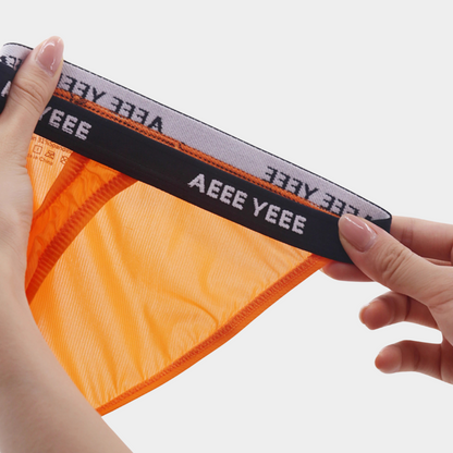 AFL 866 - Men's Ice Silk Briefs