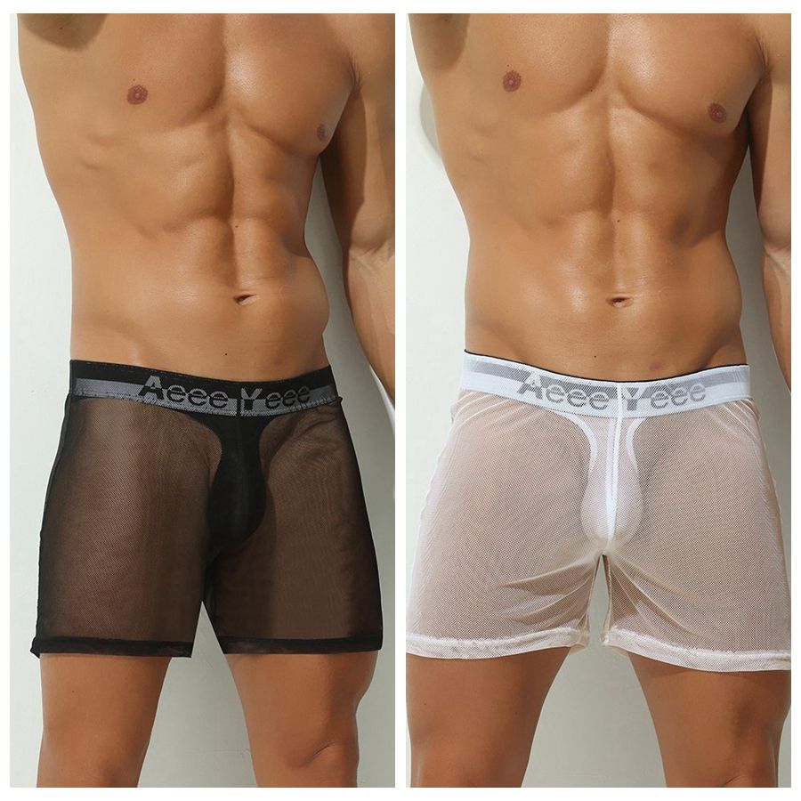 2-Pack Men's Ultra Sheer Mesh Boxer Briefs - AFL 897