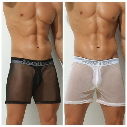 2-Pack Men's Ultra Sheer Mesh Boxer Briefs - AFL 897