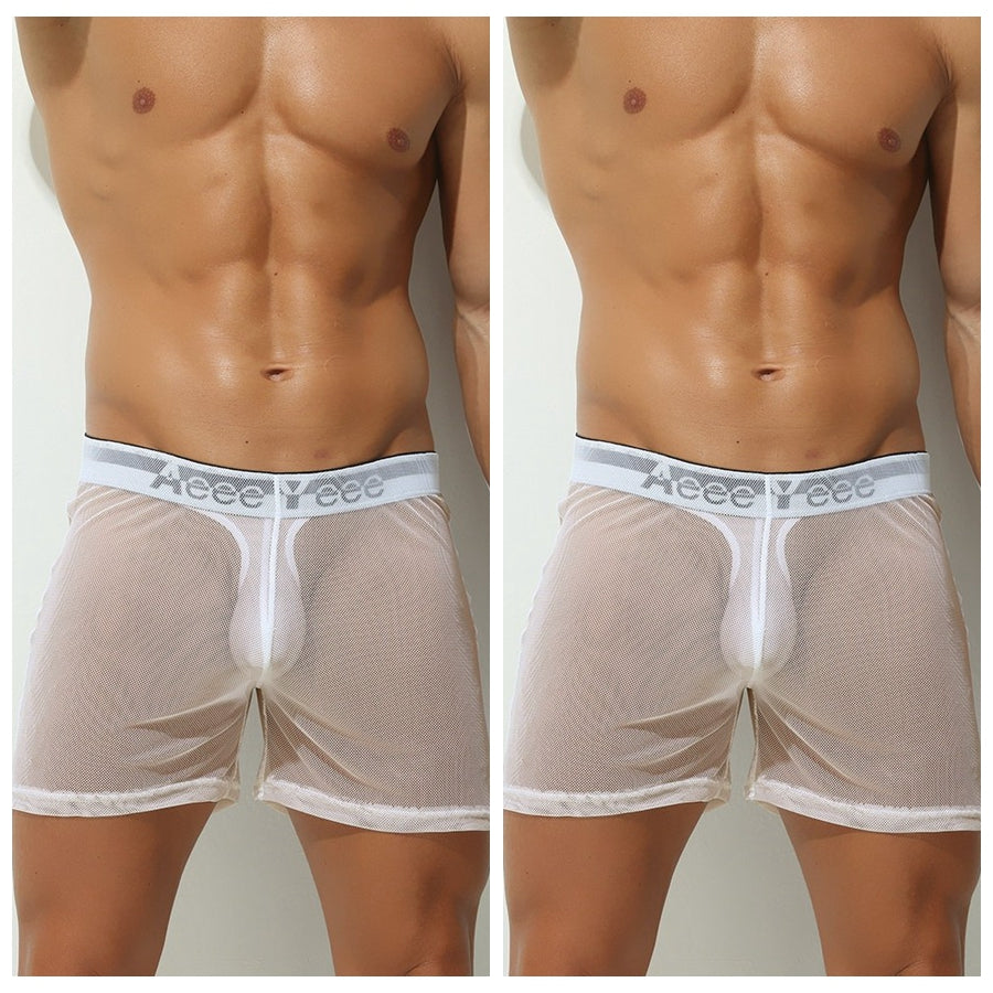 2-Pack Men's Ultra Sheer Mesh Boxer Briefs - AFL 897