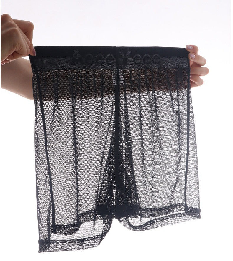 2-Pack Men's Ultra Sheer Mesh Boxer Briefs - AFL 897