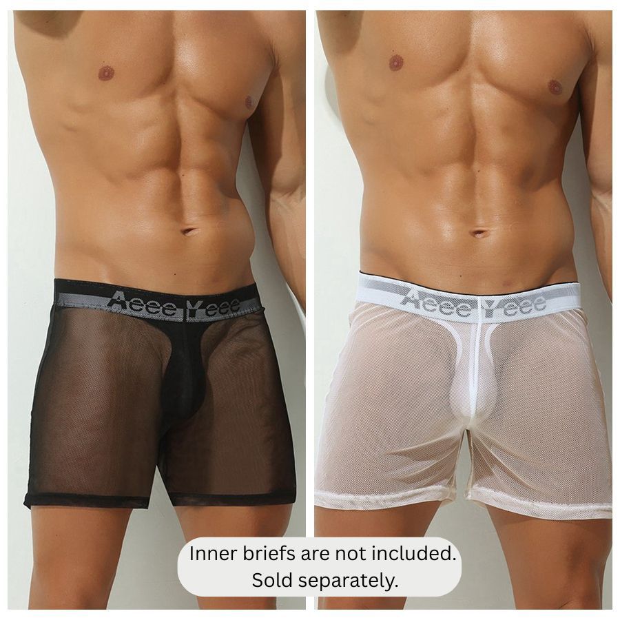 2-Pack Men's Ultra Sheer Mesh Boxer Briefs - AFL 897
