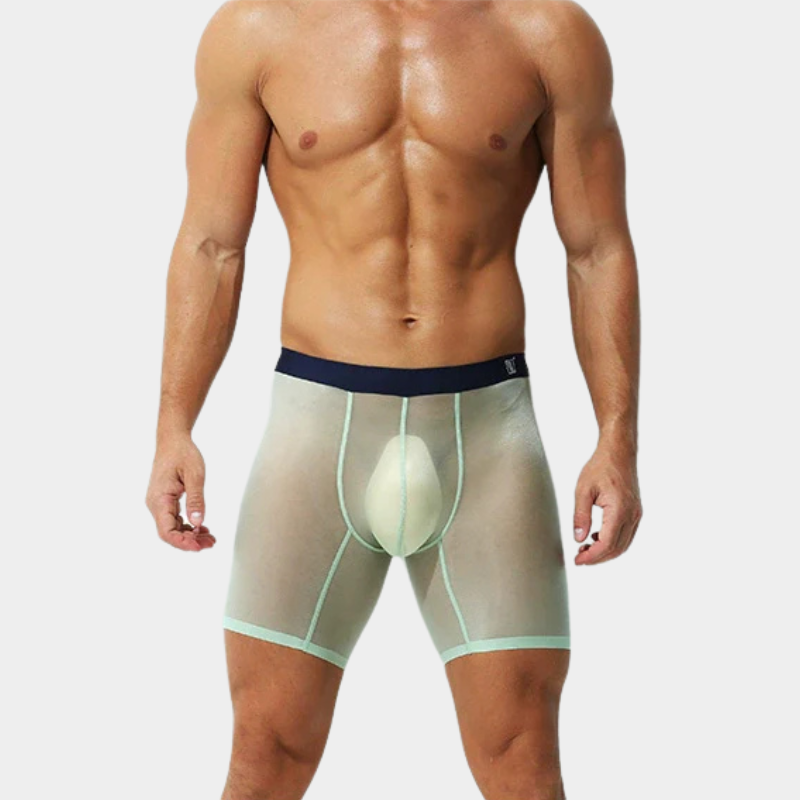 Men's Sheer Ice Silk Boxer Briefs - AFL 829