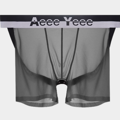 Men’s Ultra-Thin Ice Silk Open-Back Boxer Briefs - AFL 851
