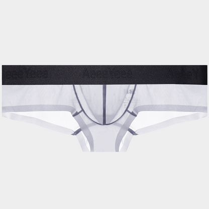 Men's Ice Silk Briefs - AFL 1980