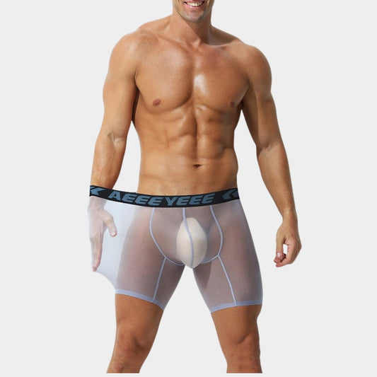 4-Pack Men’s Ultra-Thin Ice Silk Sheer Boxer Briefs - AFL 854