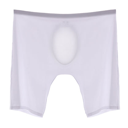 4-Pack Men's Ultra-Light Ice Silk Boxer Briefs with Seamless No-Chafe Pouch -YS56-5