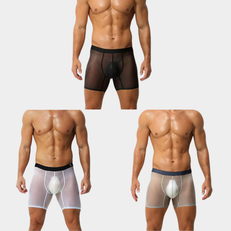 Men's Sheer Ice Silk Boxer Briefs - AFL 829