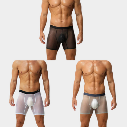 Men's Sheer Ice Silk Boxer Briefs - AFL 829