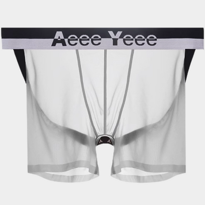 Men’s Ultra-Thin Ice Silk Open-Back Boxer Briefs - AFL 851