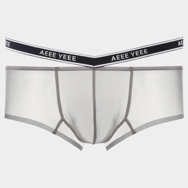 Men's Sheer Ice Silk Short Trunks - AFL 841