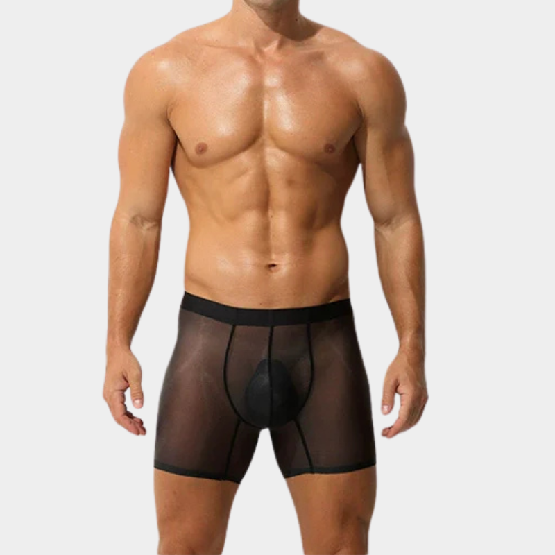 Men's Sheer Ice Silk Boxer Briefs - AFL 829